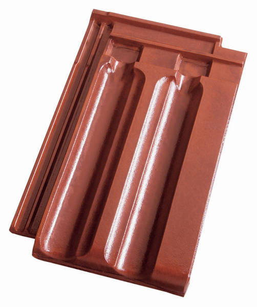 кащтановая каштановая